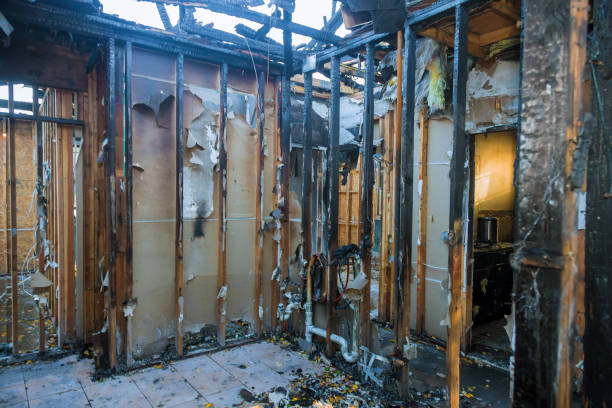 Professional Smoke Damage Removal technician working in Glenn Dale, MD